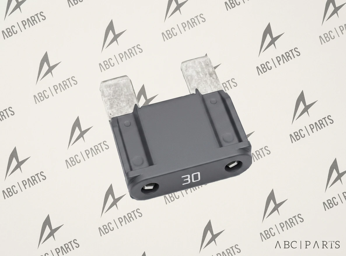 7700410539 AYAKLI SİGORTA 30AMP