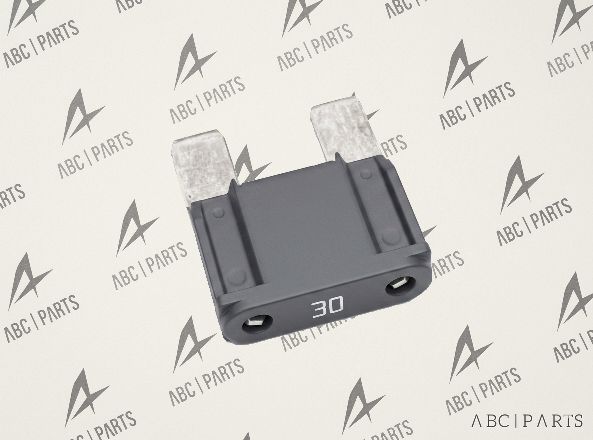 7700410539 AYAKLI SİGORTA 30AMP